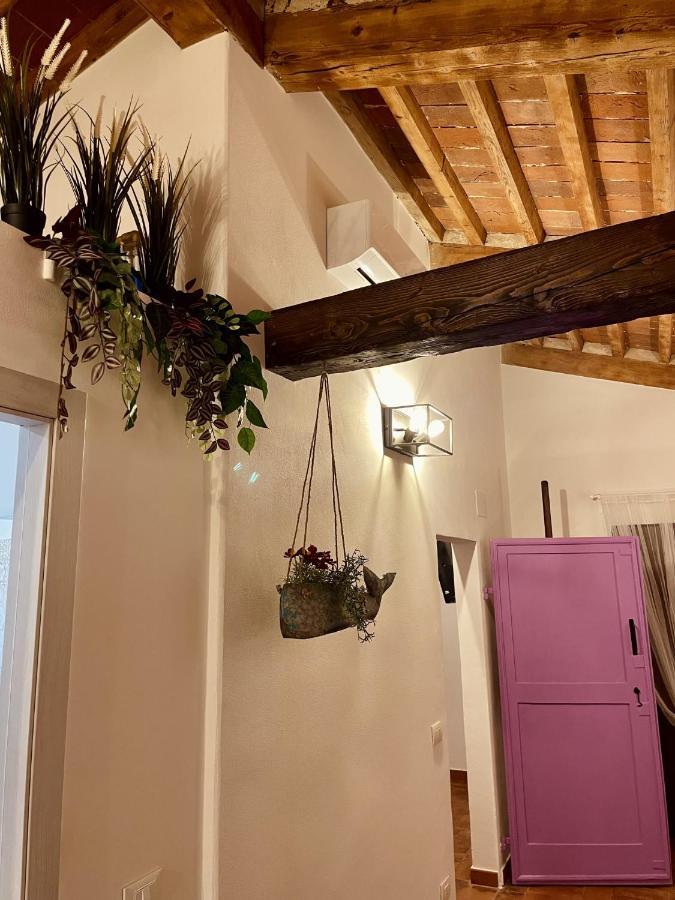 Modi Loft Apartment Livorno Luaran gambar